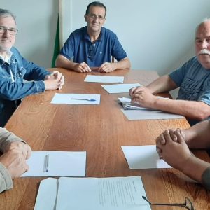 WhatsApp Image 2022-10-27 at 10.19.19