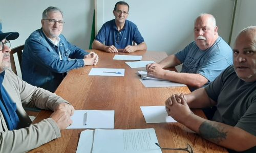 WhatsApp Image 2022-10-27 at 10.19.19