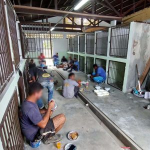 foto-crédito Folha Metropolitana